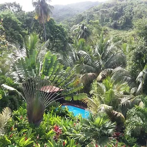 https://ti-pln-krol.comcaribbean.com